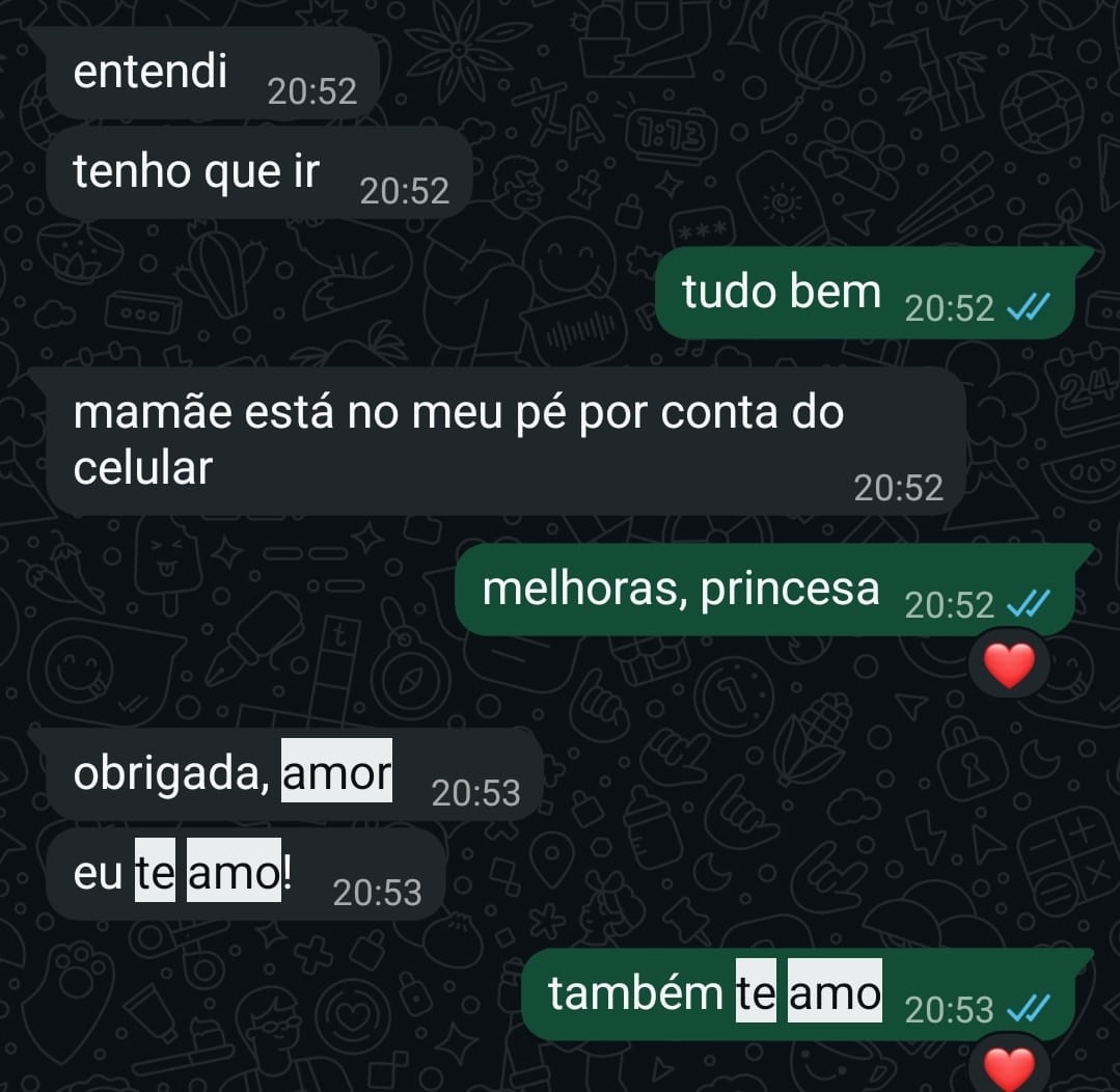 Nossa conversa: melhoras, princesa; obrigada, amor; eu te amo; também te amo.